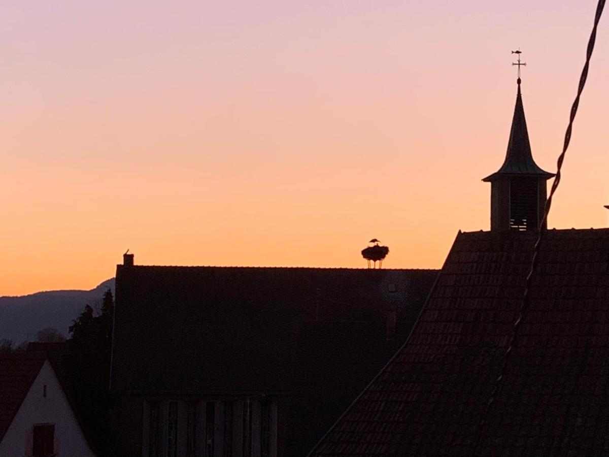 Nid De Cigogne Lejlighed Illhaeusern Eksteriør billede
