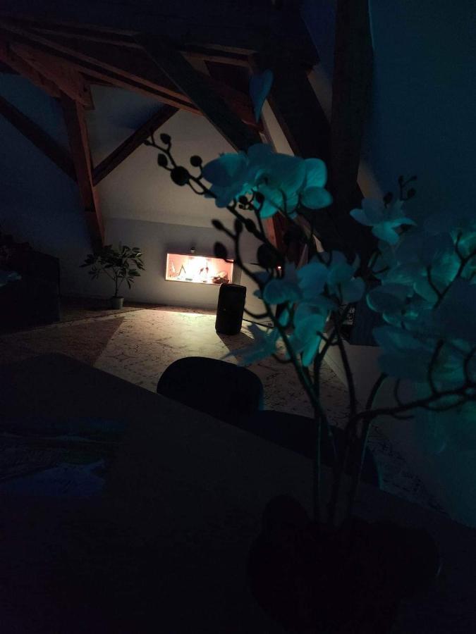 Nid De Cigogne Lejlighed Illhaeusern Eksteriør billede